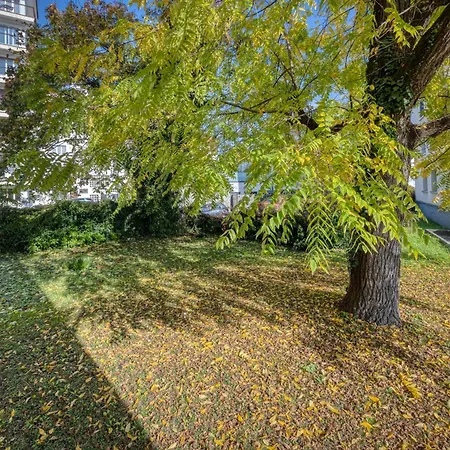 Apartment Villebois D - Palais Des Sport - Stade Des Alpes *